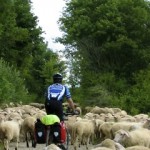 Cycling through the Altmuhl River area of Germany