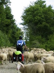 Cycling through the Altmuhl River area of Germany