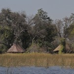 Sleeping Tents Okavanga Delta, Botswana