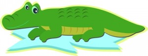 Alligator