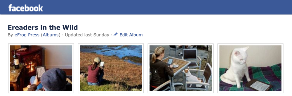 Facebook photo albums, images, photographs, increase interactivity